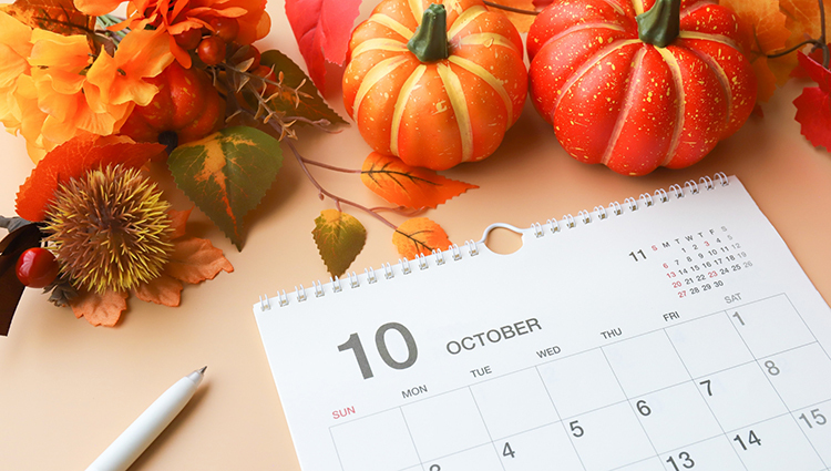 【交通誘導警備】ハロウィンイベントにも危険がいっぱい⁉